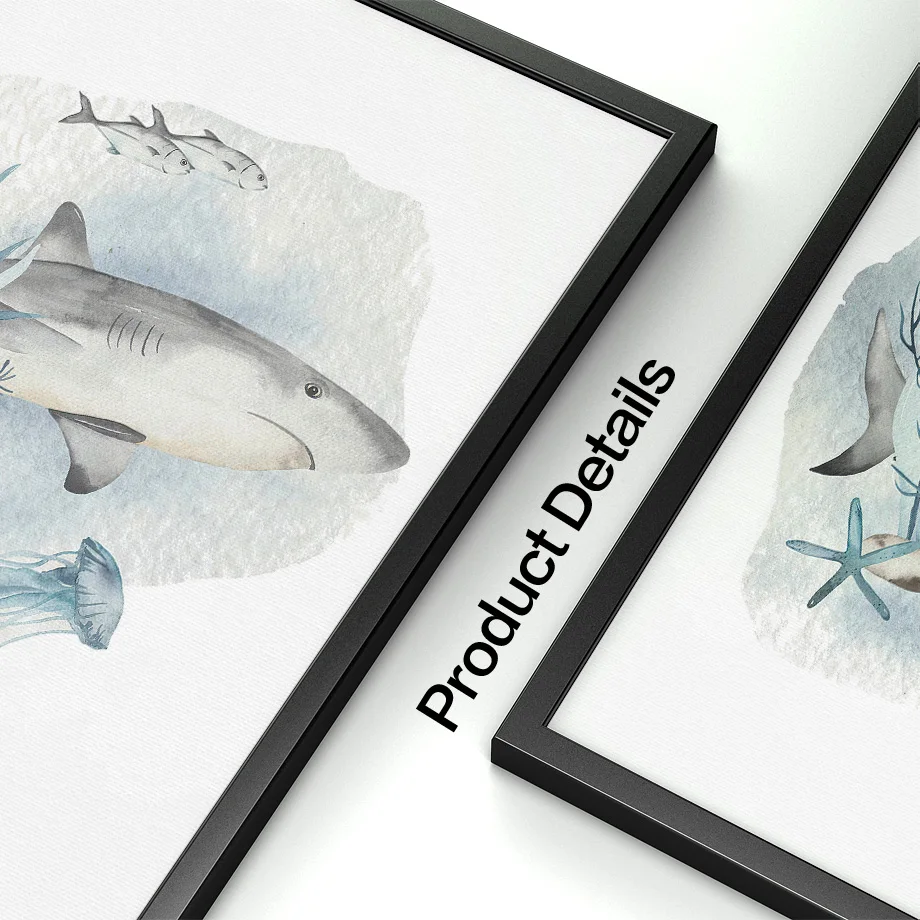 Posters And Prints Whale Fish  - Baby Nursery Images review and price