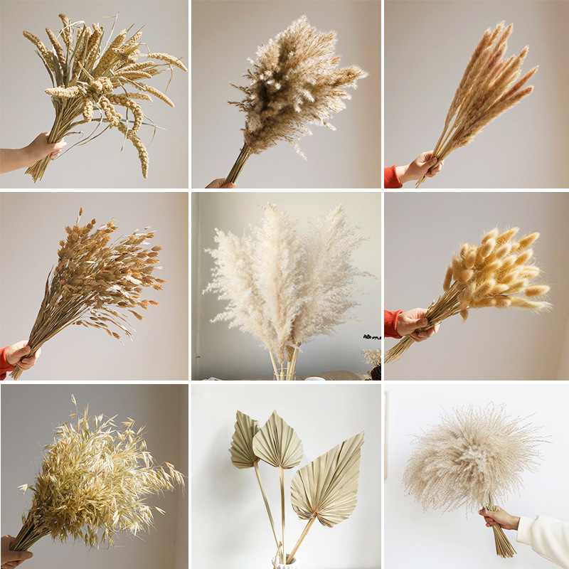 Wabi-sabi dried flowers natura - Baby Nursery Ornaments review and price
