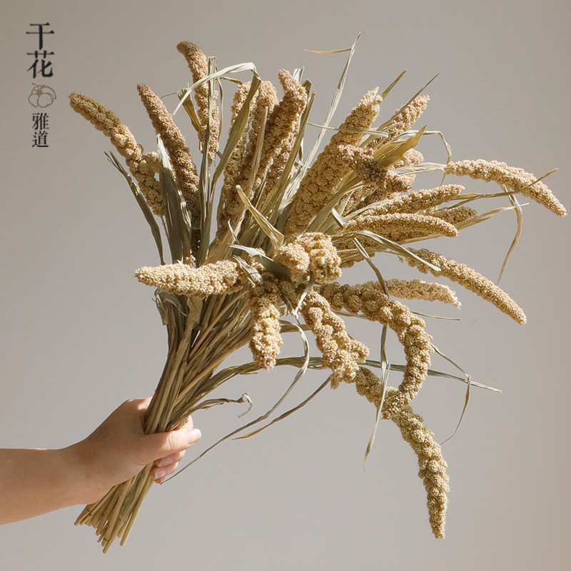 Wabi-sabi dried flowers natura - Baby Nursery Ornaments review and price