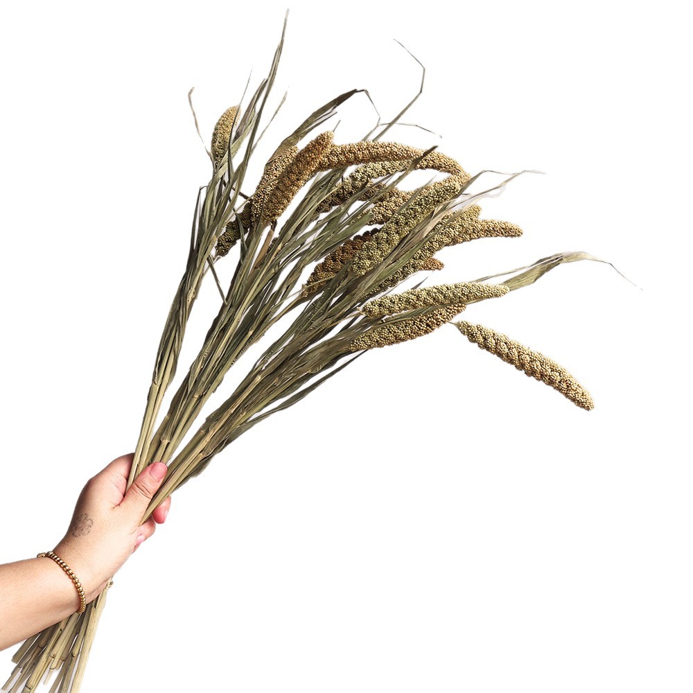 Wabi-sabi dried flowers natura - Baby Nursery Ornaments review and price