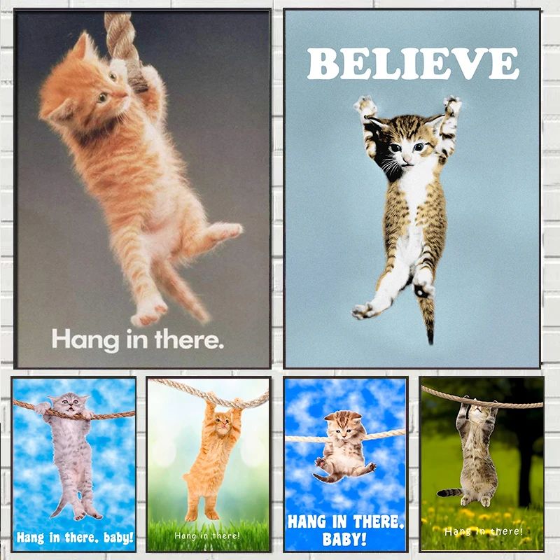Hang In There Baby Cute Cat Yo - Baby Nursery Images review and price