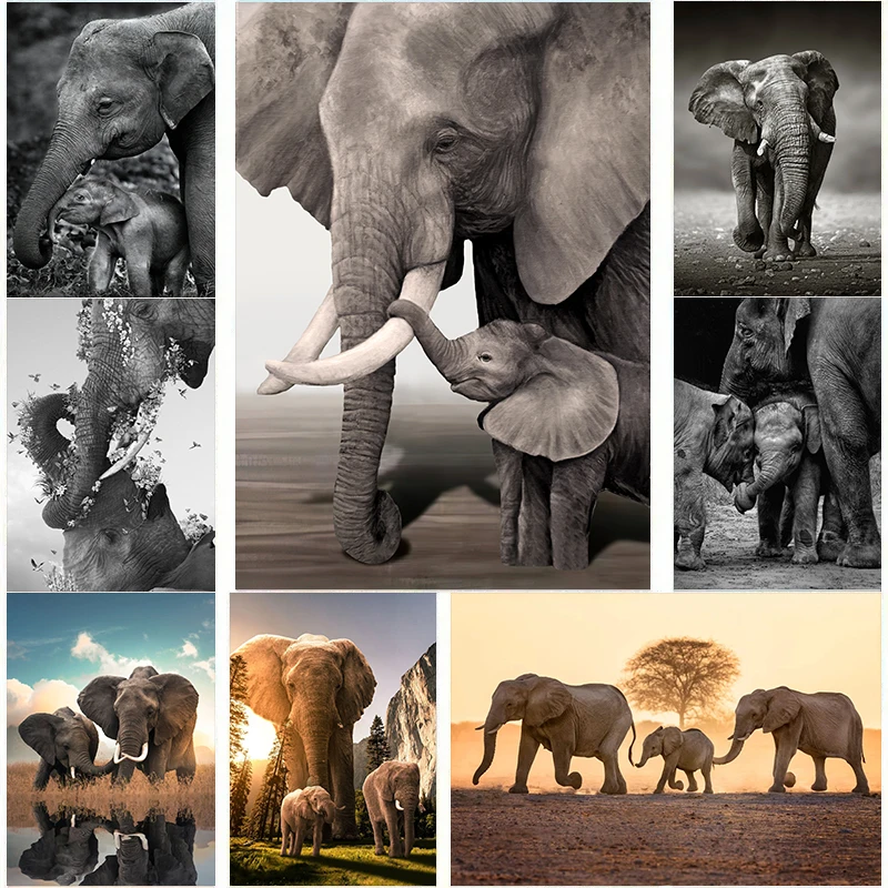 Wildlife Elephant Family Poste - Baby Nursery Images review and price