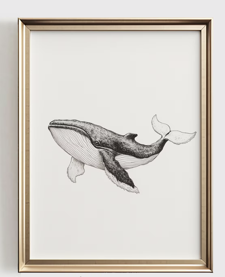 Whale Line Art Print, Minimali - Baby Nursery Ocean review and price